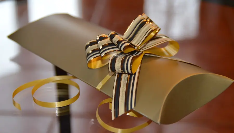 skin-line-mladost-interior-31